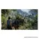 UNCHARTED COLECAO LEGADO DOS LADROES PS5