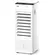 Climatizador de Ar EOS Arctic Fresh ECL70Q 7L 5 em 1 Quente e Frio 127V Branco